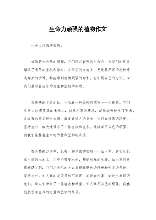 生命力顽强的植物作文