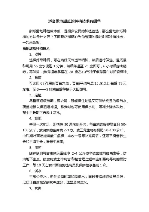 适合露地甜瓜的种植技术有哪些
