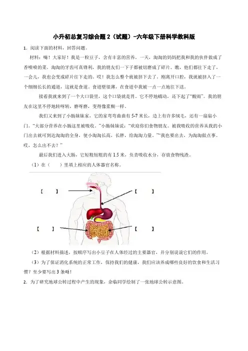 小升初总复习综合题2(试题)-六年级下册科学教科版