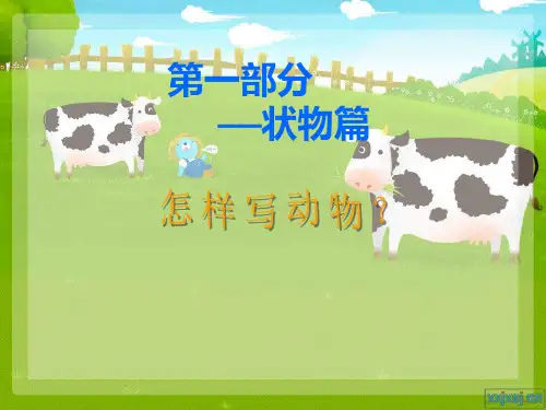电子教案家有宠物