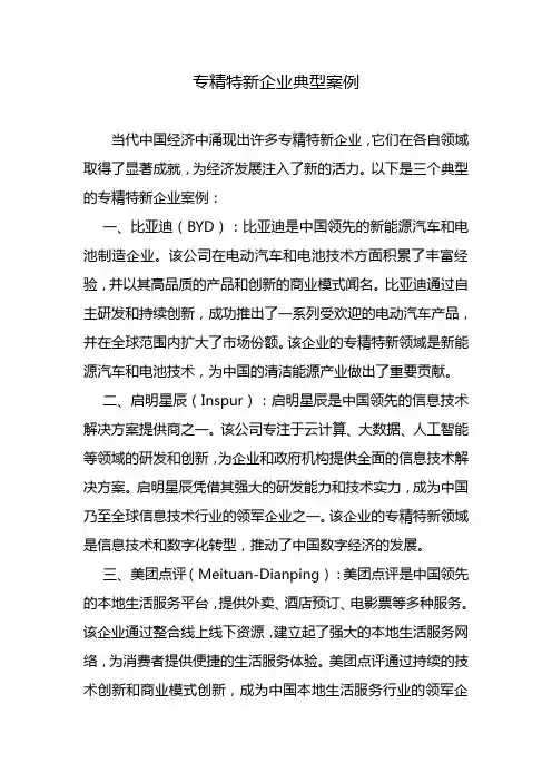专精特新企业典型案例