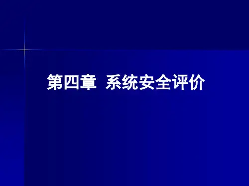 安全评价(概要)