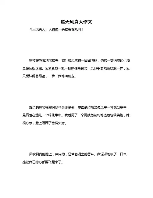 这天风真大作文