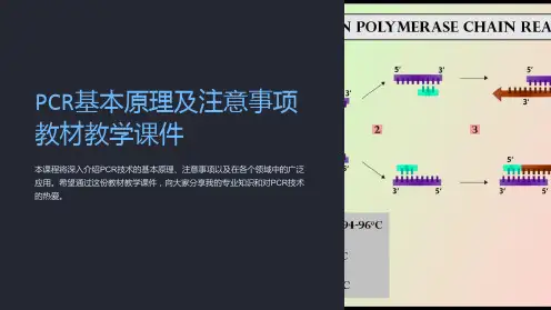 PCR基本原理及注意事项教材教学课件