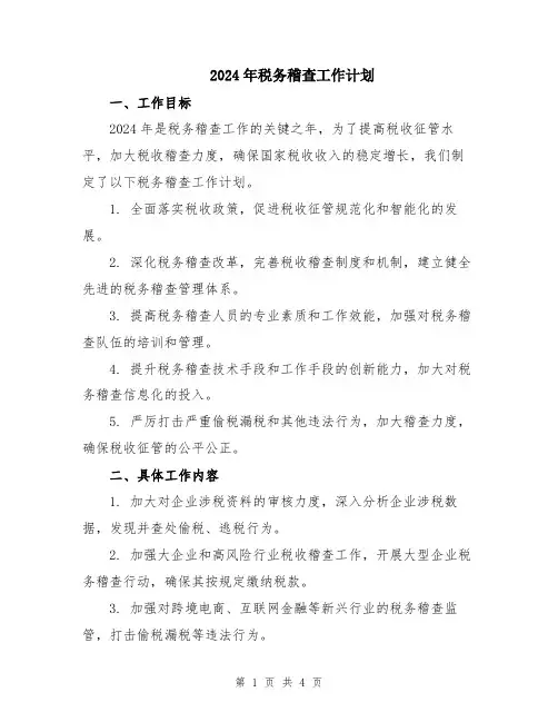 2024年税务稽查工作计划