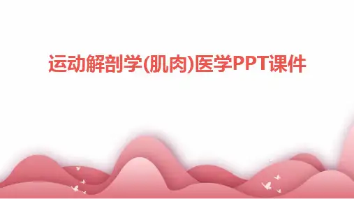 运动解剖学(肌肉)医学PPT课件