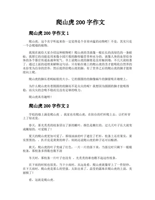 爬山虎200字作文