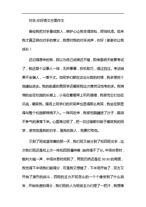 对手,你好语文方面作文
