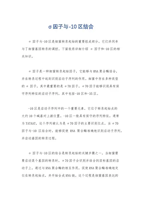 σ因子与-10区结合