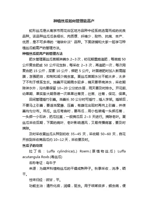 种植丝瓜如何管理能高产