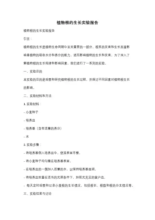植物根的生长实验报告