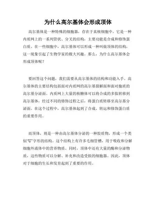 为什么高尔基体会形成顶体