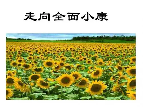 初二政治下学期走向全面小康--湘教版