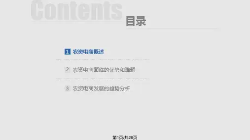 互联网引领的农资电商PPT课件