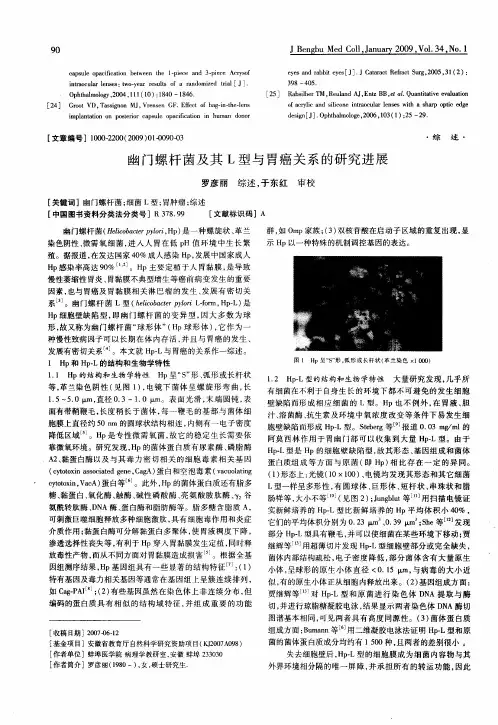 幽门螺杆菌及其L型与胃癌关系的研究进展