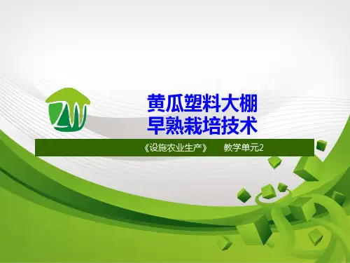 设施蔬菜生产黄瓜大棚早熟栽培技术