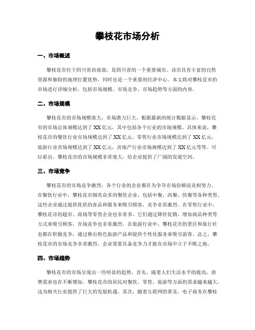 攀枝花市场分析