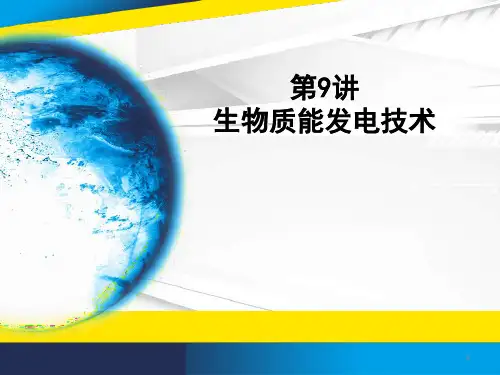 生物质能及其利用