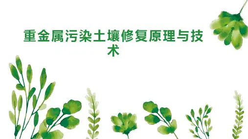 重金属污染土壤修复原理与技术