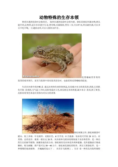 动物特殊的生存本领