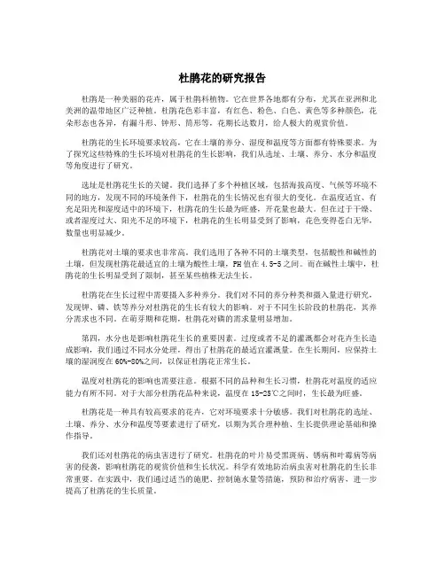 杜鹃花的研究报告