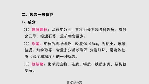 砂岩及粉砂岩