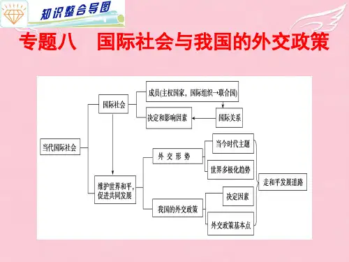 高考政治专题复习 (8)国际社会与我国的外交政策课件