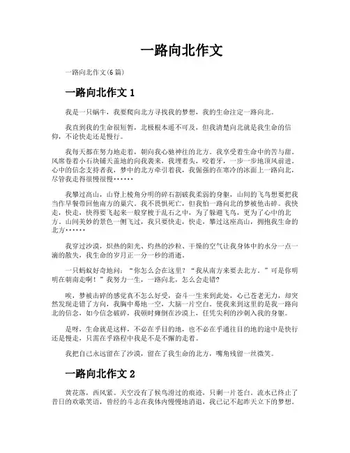 一路向北作文