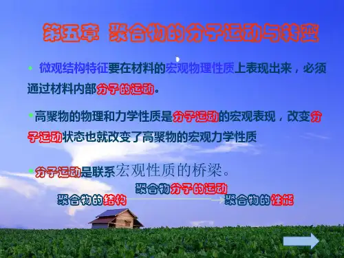 高分子物理第五章第一节b课件