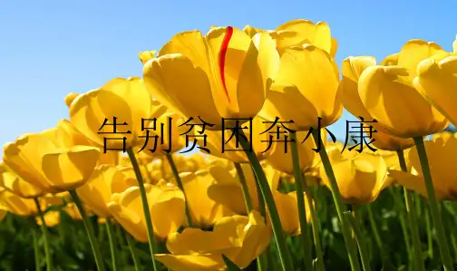 推荐人教新课标小学六年级品德与社会上册告别贫困 奔小康PPT课件