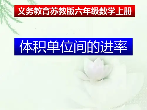 苏教版六上数学1.7体积单位的进率课件(1)