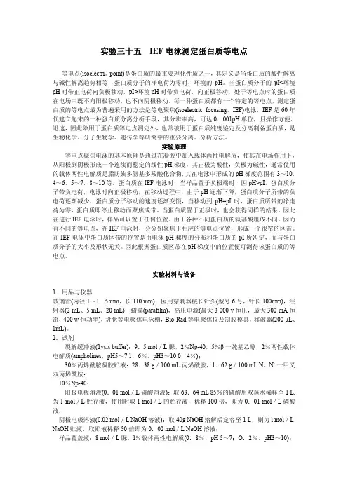 实验三十五IEF电泳测定蛋白质等电点