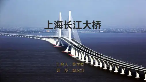 上海长江大桥
