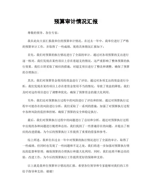 预算审计情况汇报