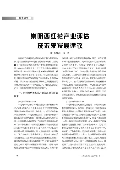 崇明西红花产业评估及未来发展建议