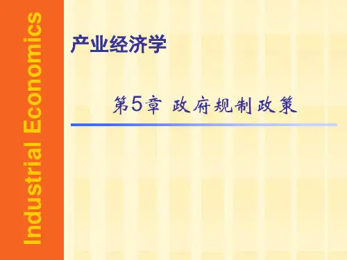 南农大--产业经济学第五章政府规制政策