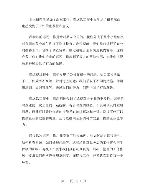 个人参加巡视工作总结范文