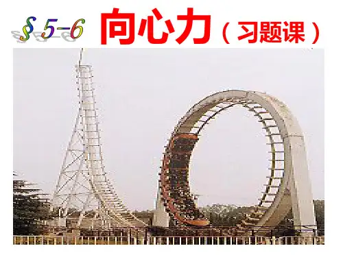 向心力习题课编辑版