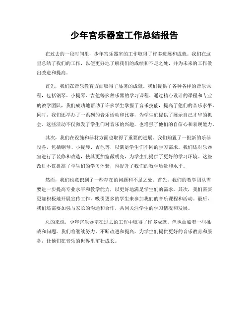 少年宫乐器室工作总结报告