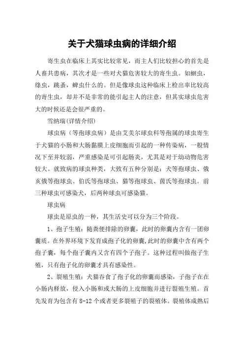 关于犬猫球虫病的详细介绍