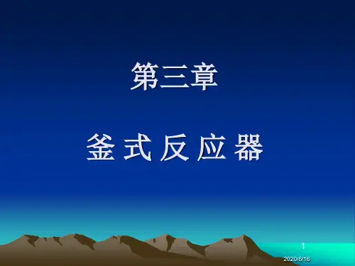 釜式反应器--化工