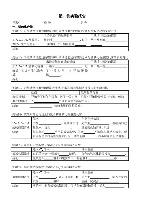 铝 铁实验报告