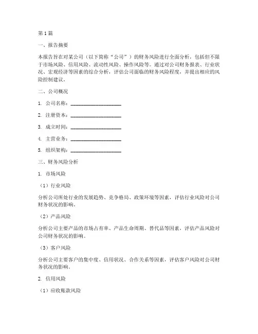 财务风险分析报告模版(3篇)