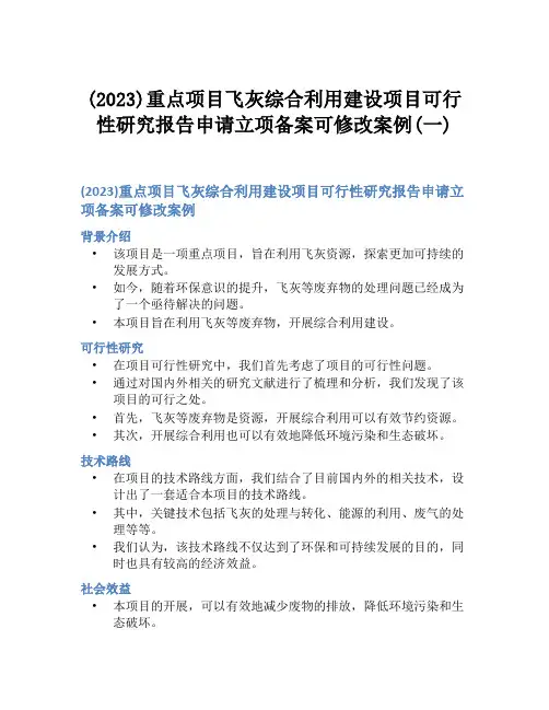 (2023)重点项目飞灰综合利用建设项目可行性研究报告申请立项备案可修改案例(一)