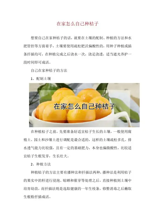 在家怎么自己种桔子