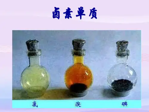 人教版化学必修二1.1元素周期表-第三课时-卤素教学课件
