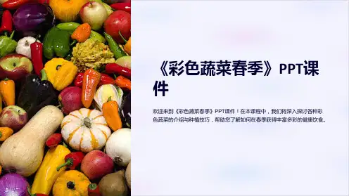 《彩色蔬菜春季》课件