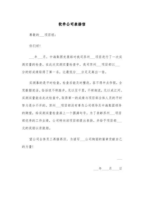 软件公司表扬信（四篇）