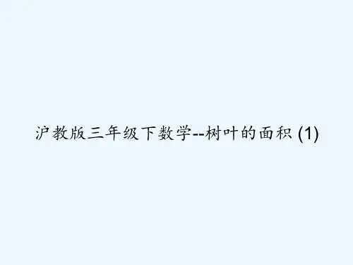 沪教版三年级下数学--树叶的面积 (1)