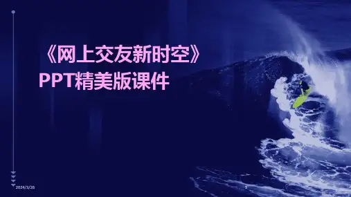(2024年)《网上交友新时空》PPT精美版课件